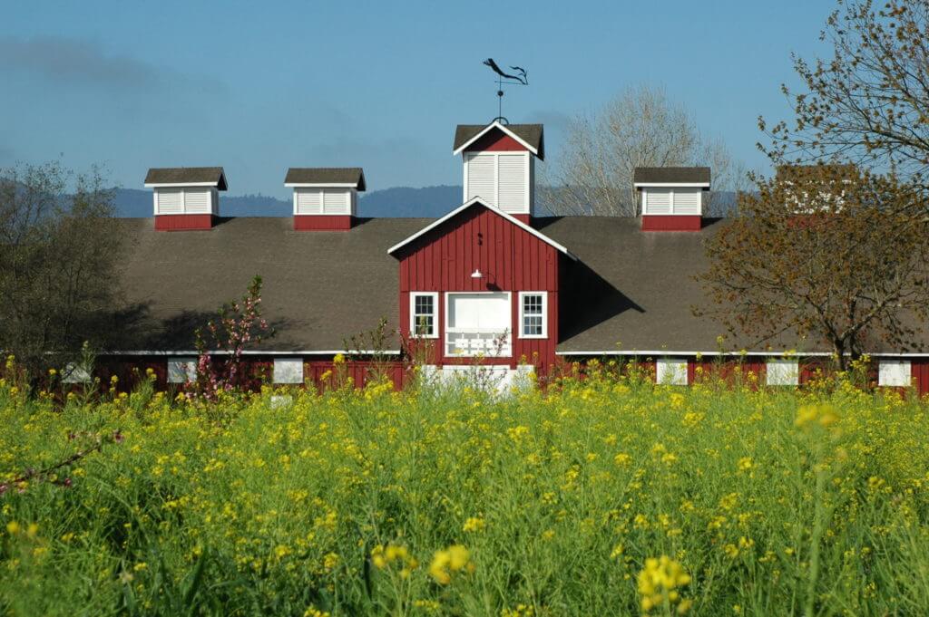 Frog's Leap Red Barn With Mustard