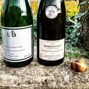 Read more about the article Marsannay: Hidden Gem of Burgundy
