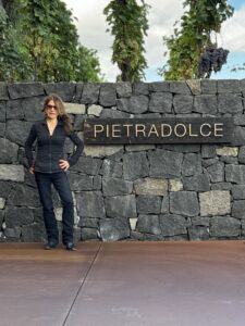 Read more about the article Pietradolce Winery Mount Etna