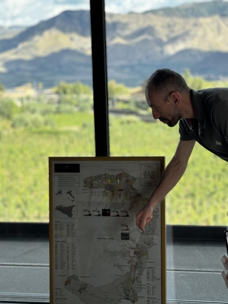 Angelo showing vineyards