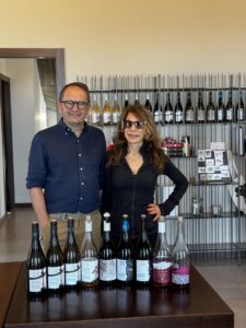 Read more about the article Terre Constantino in Mount Etna