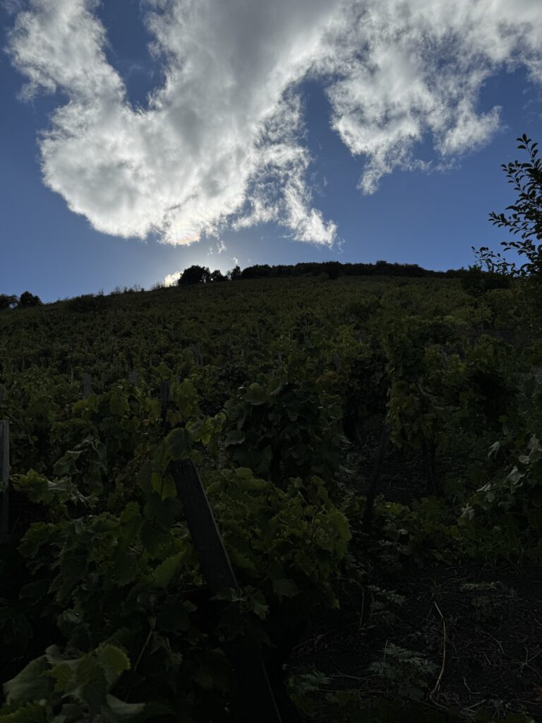 Cantine di Nessuno