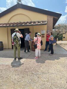 Read more about the article Perticaia Winery in Montefalco