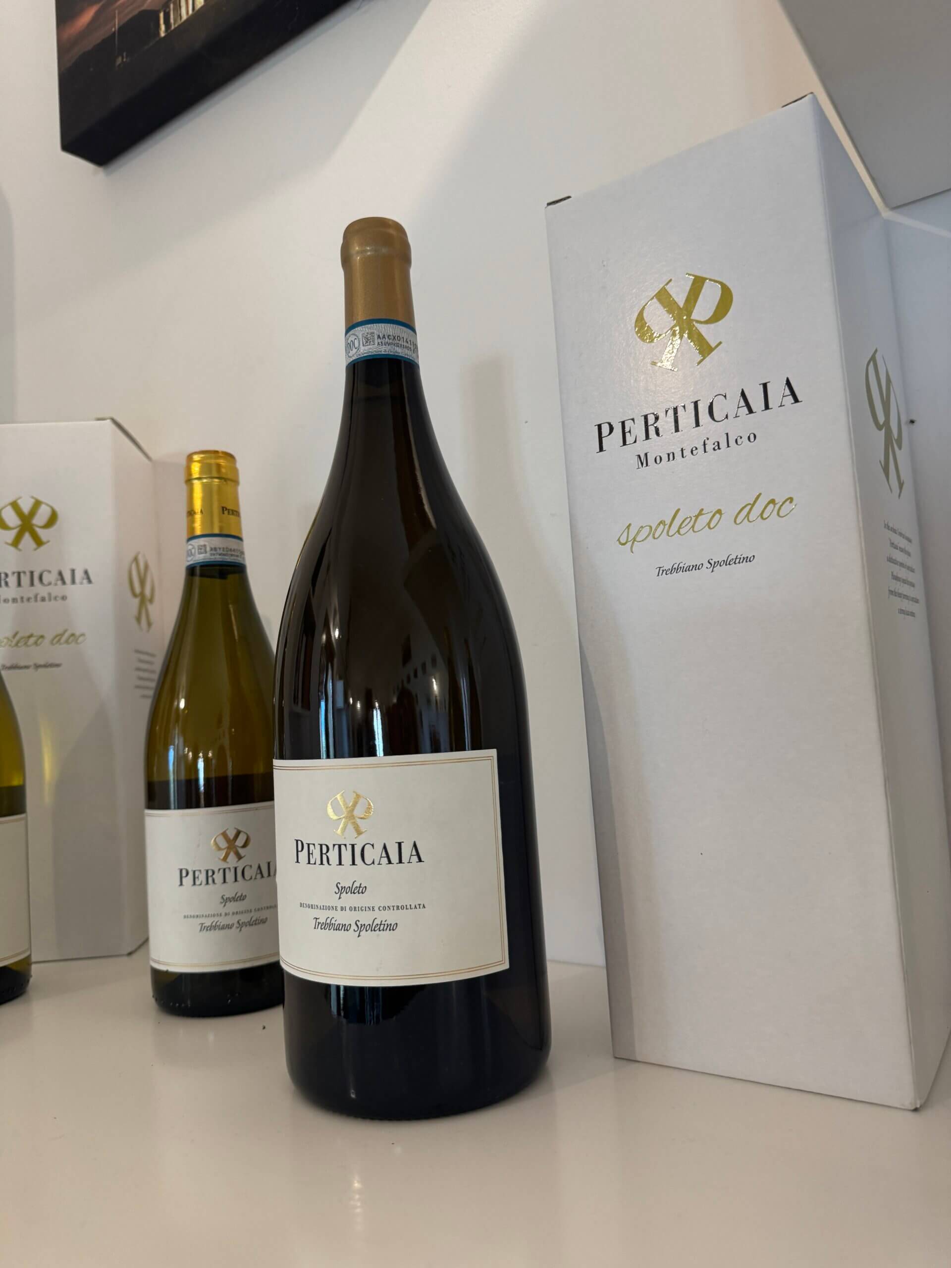 Read more about the article Perticaia Winery in Montefalco