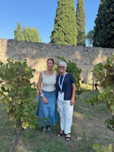 Read more about the article Vineyard Walk in Ancient Pompeii