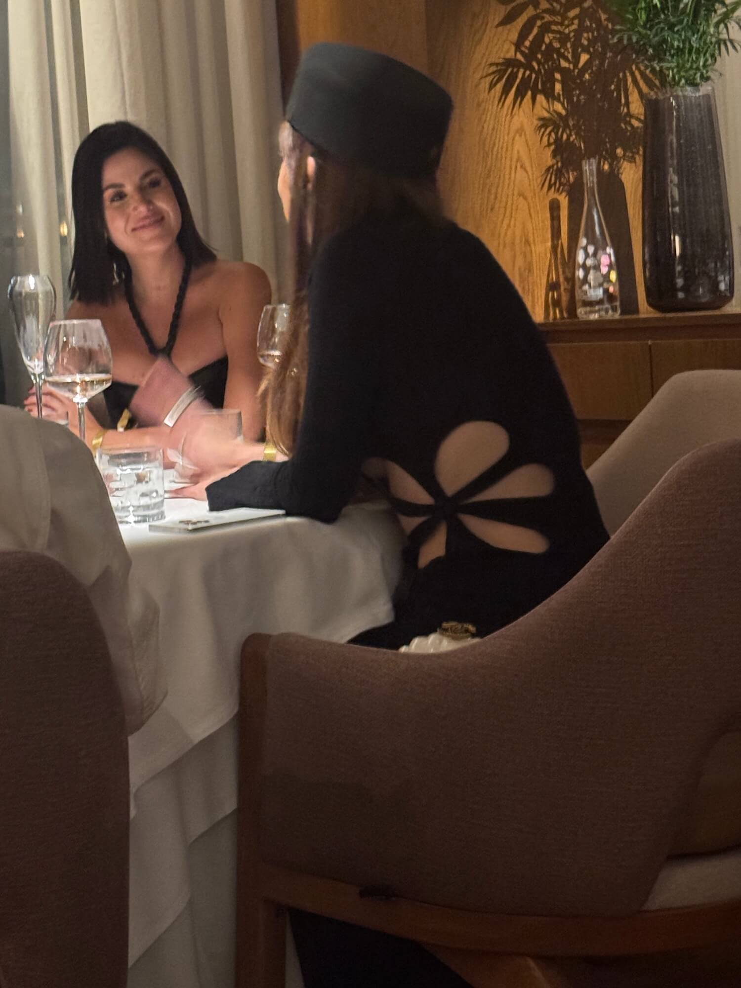 Read more about the article ElCielo Restaurant Opens NYC