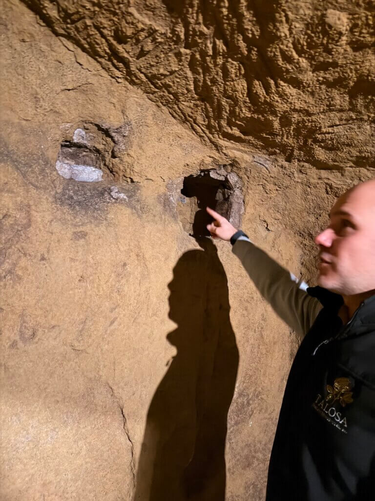 Talosa Cellar - Eduardo Mottini Jacorossi showing Etruscan tomb.