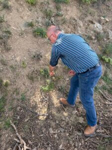 Read more about the article Roussillon Wines