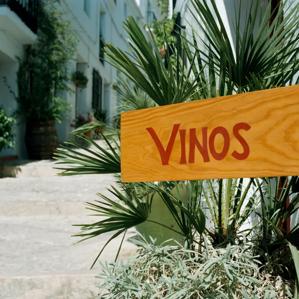 Vinos (wine) welcoming us at the IFoodTC conference in Cambrils, Spain.